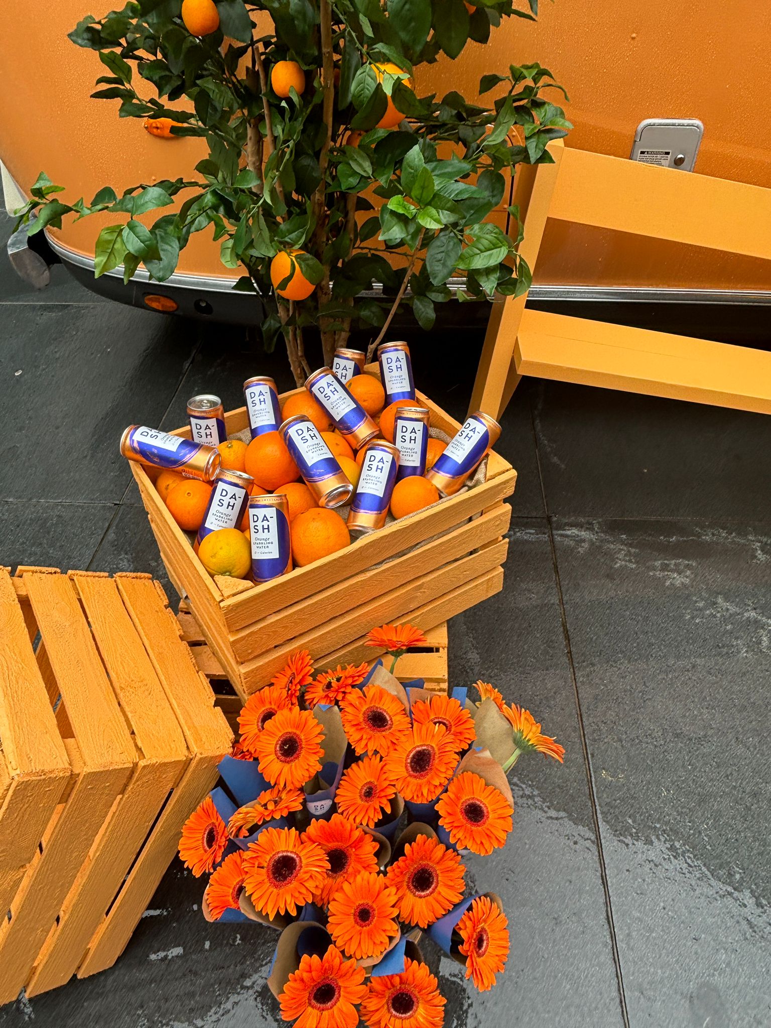 brand activation orange gerbera flowers