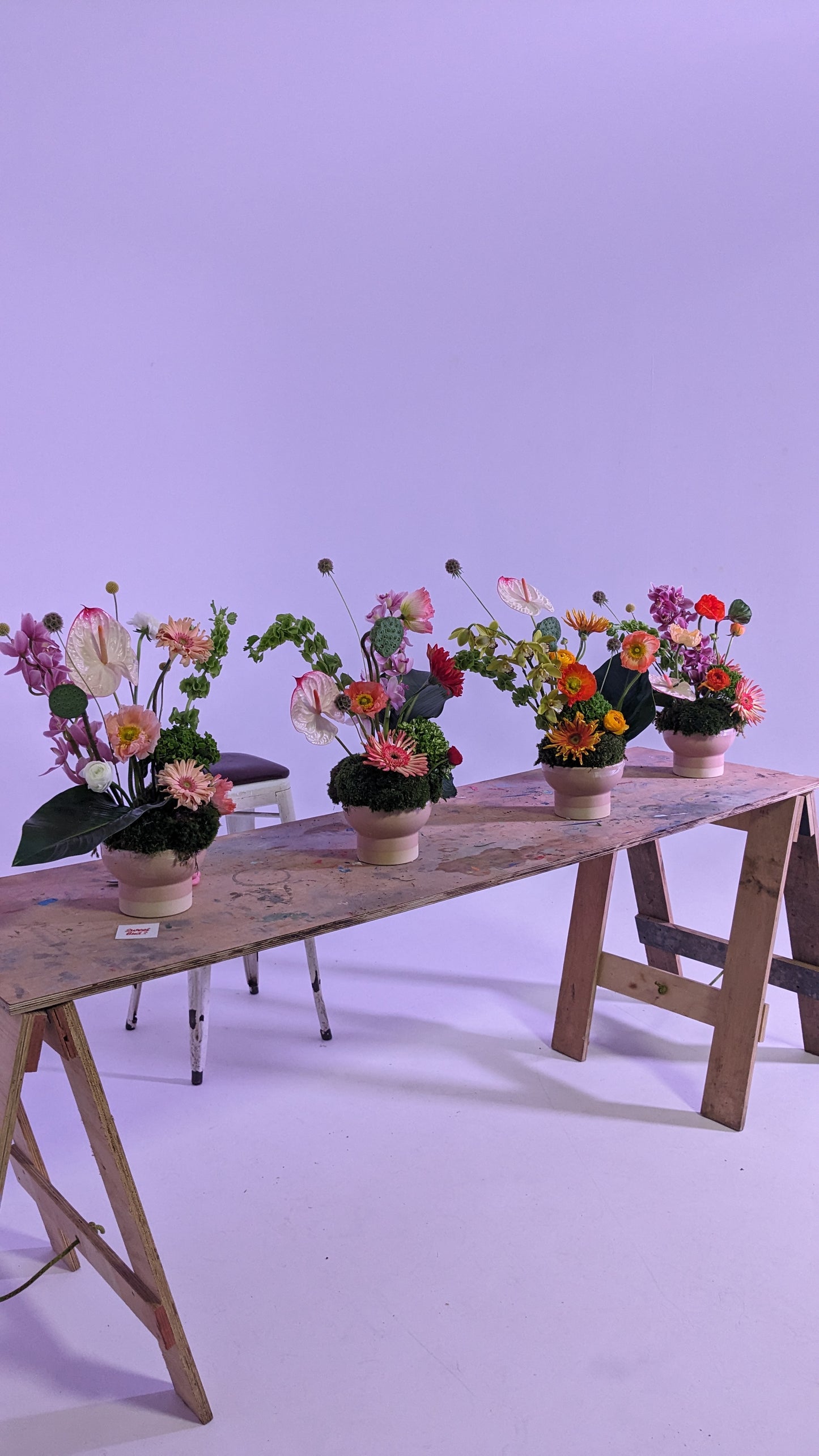 Sculptural Arrangement Workshop - Wed 17th June