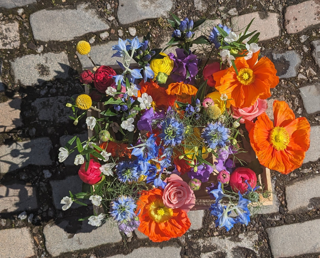 Bright and vibrant wild and seasonal wedding and event flowers including Poppies and Delphiniums