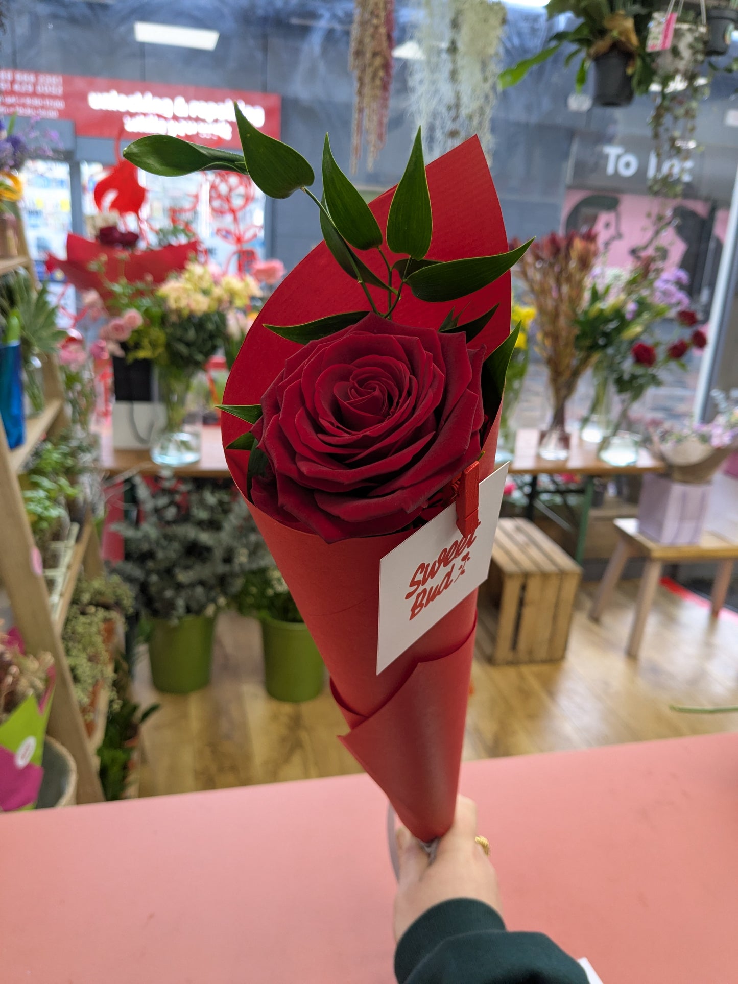 Luxury Single Rose (Collection Only)